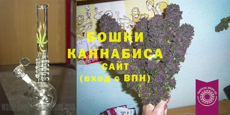 купить закладку  Дубна  Марихуана THC 21% 